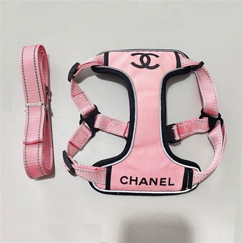 Coco Chanel Dog Accessories .